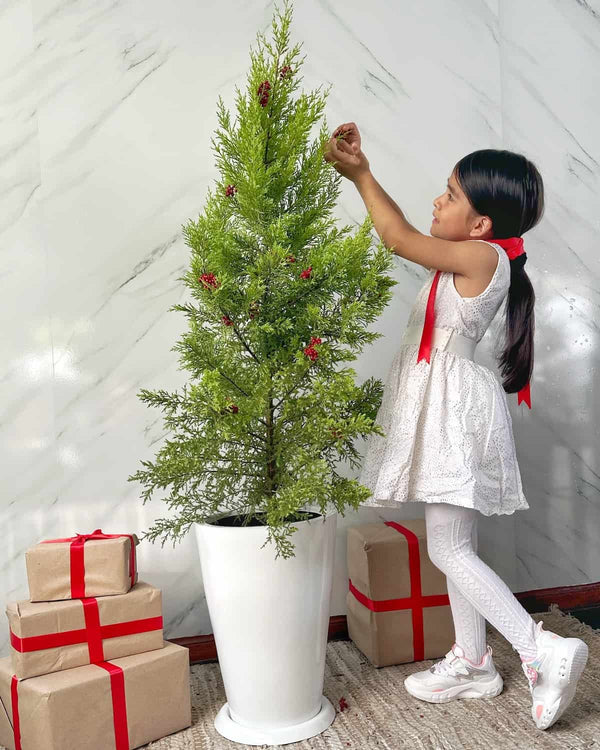 Árbol  de navidad natural - Cipres Limón en maceta